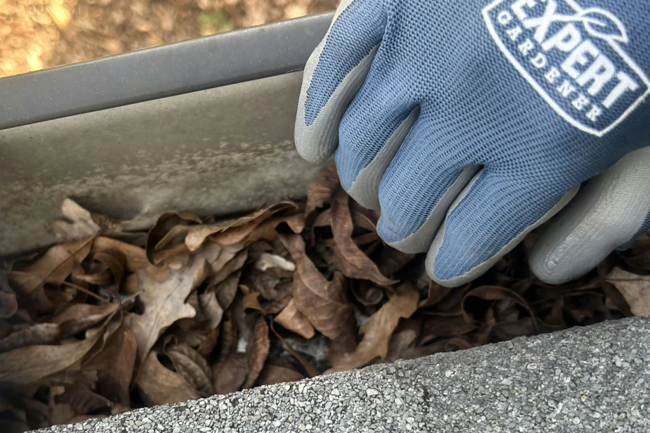 Gutter Cleaning Fayetteville